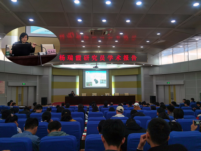 杨瑞霞1_合并.jpg